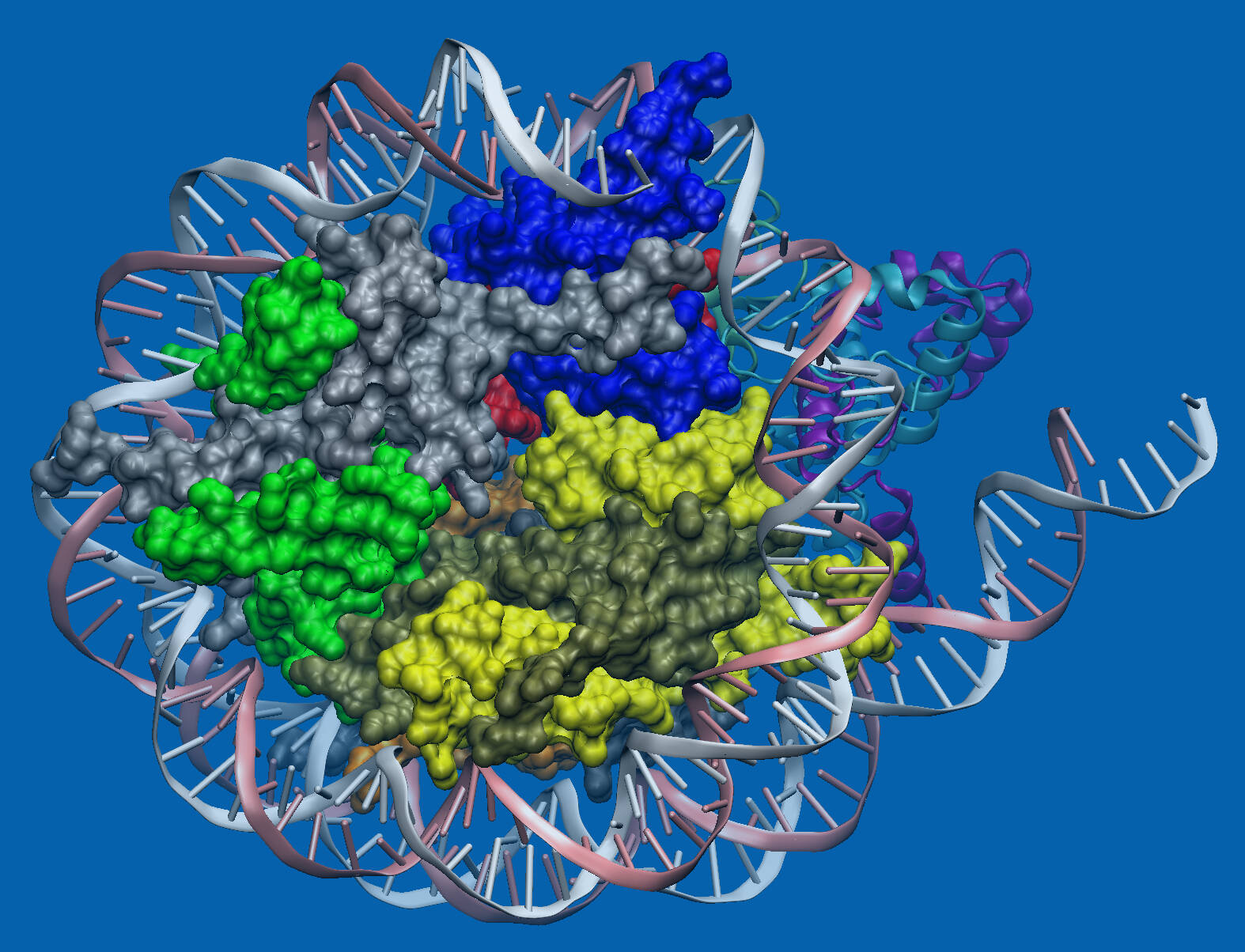 protein design image